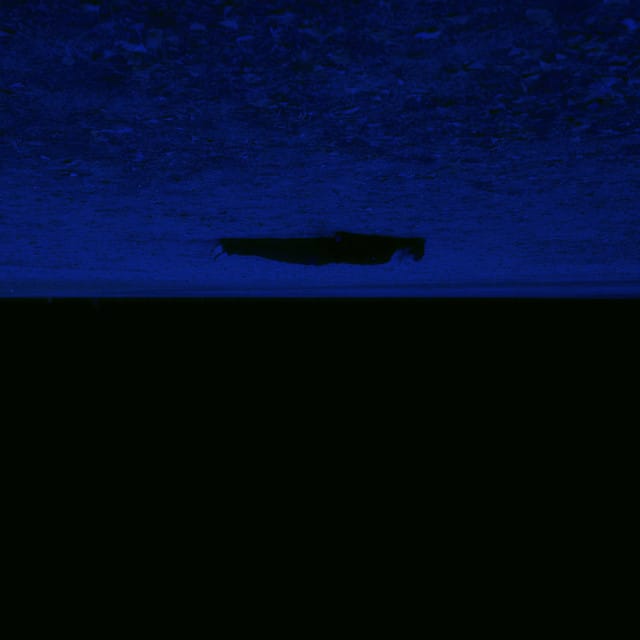 Alone Again