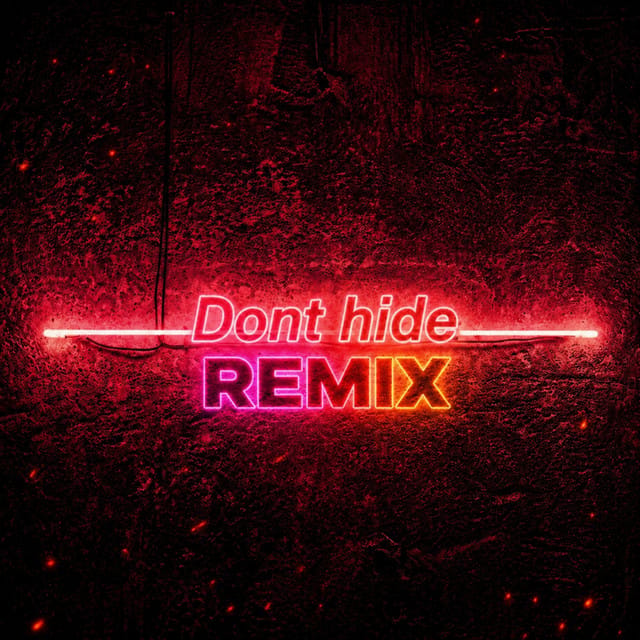 Don't Hide (Remix)