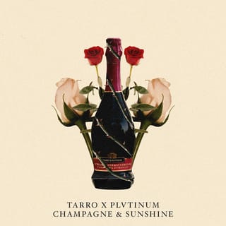 Champagne & Sunshine