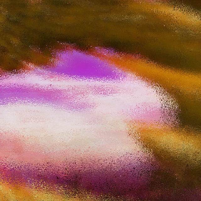 Bloom