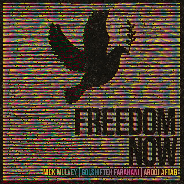 Freedom Now