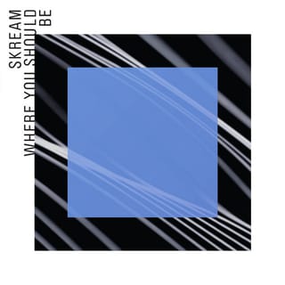 WHERE YOU SHOULD BE (feat. Sam Frank)