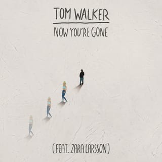 Now You're Gone (feat. Zara Larsson) [Radio Edit]