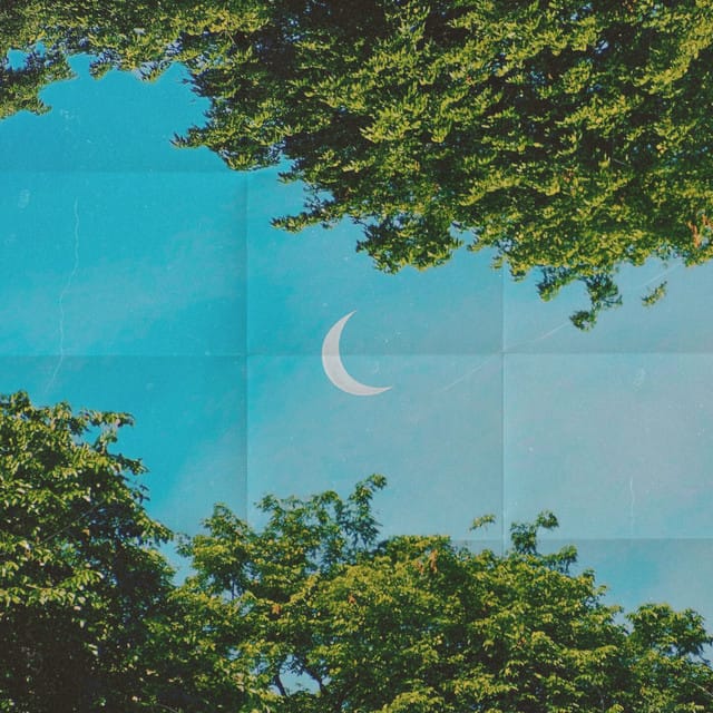 Glimpse - Single