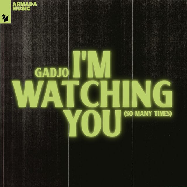 I'm Watching You (So Many Times)