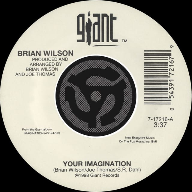 Your Imagination / Your Imagination (A Cappella) [45 Version]
