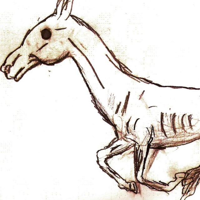 1234