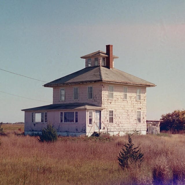 Pink House