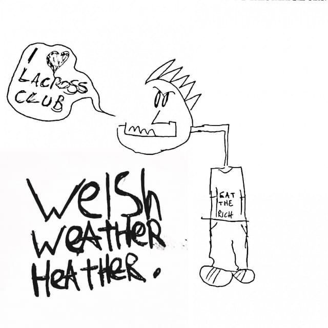 Welsh Weather Heather - Single