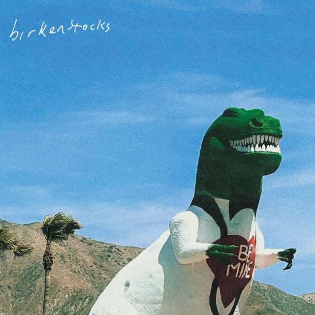 birkenstocks - Single