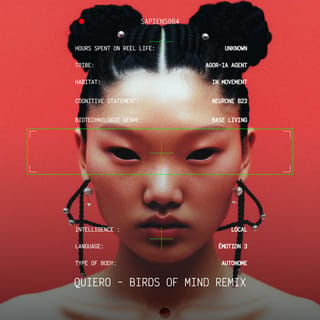 Quiero (Birds of Mind Remix)