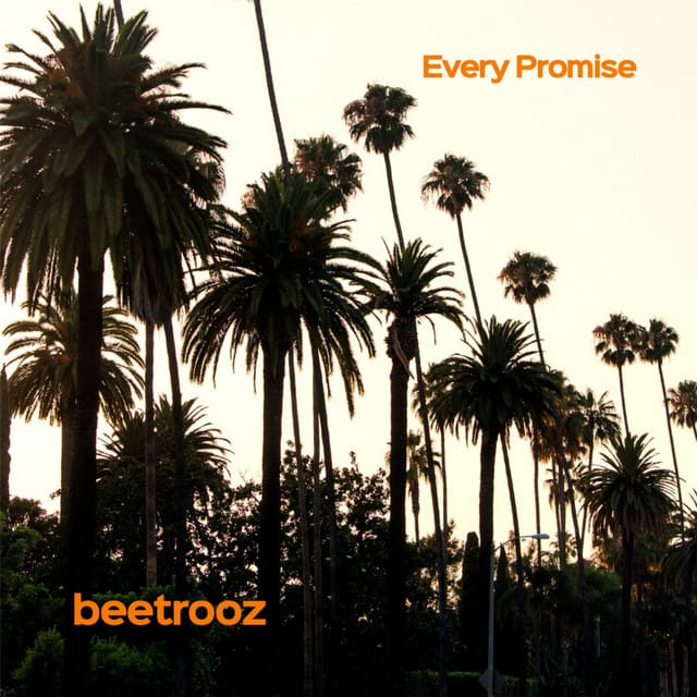 Every Promise
