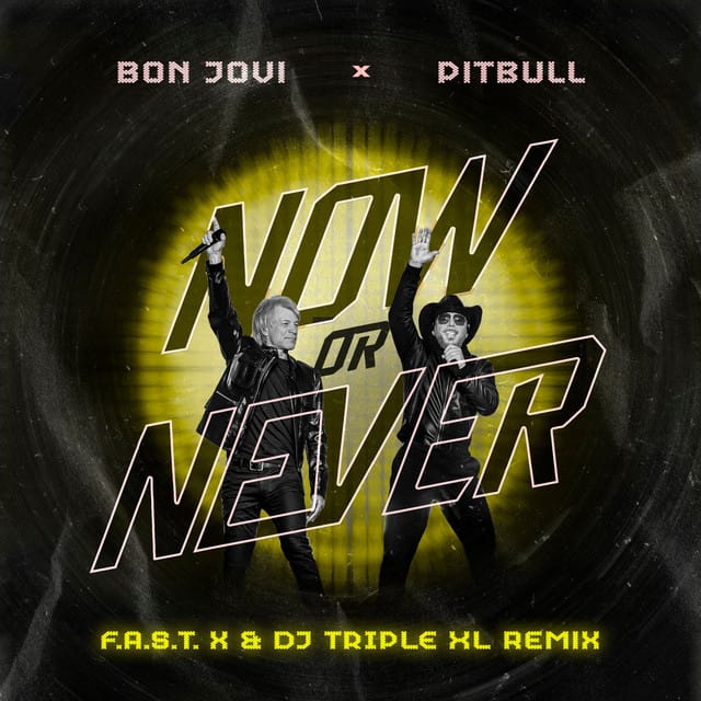 Now or Never (F.A.S.T x & DJ Triple XL Remix)
