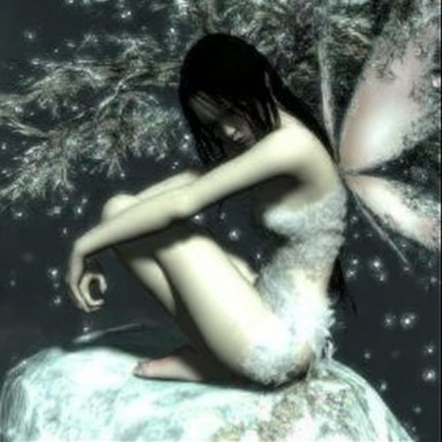 To Catch A Fairy