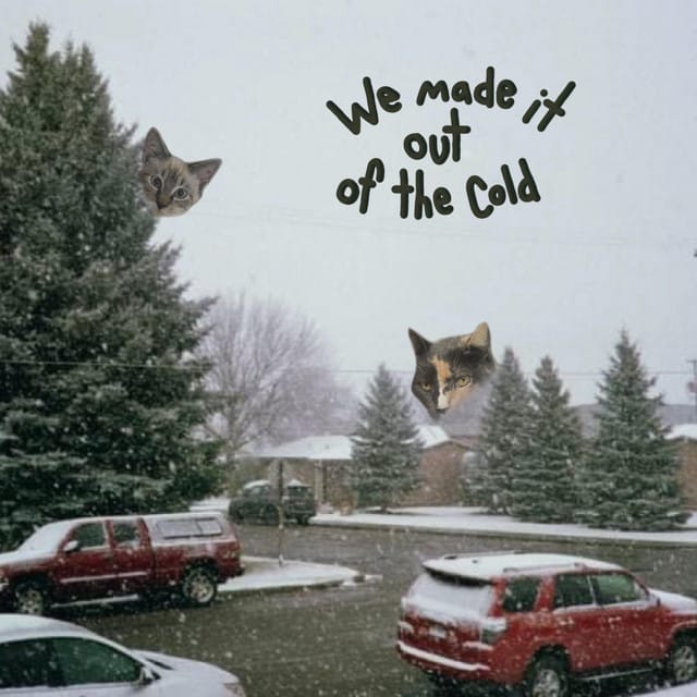 we made it out of the cold