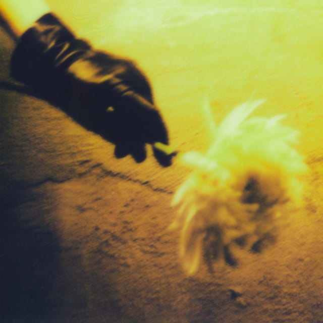 17 - Single