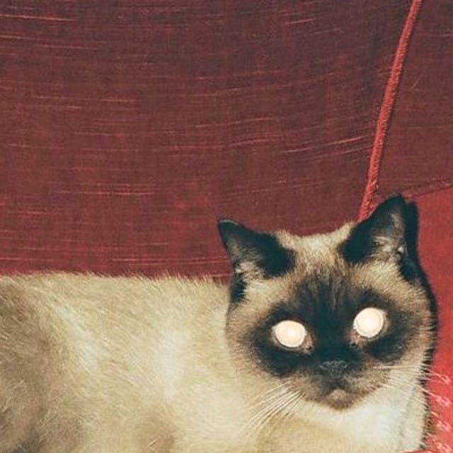 i can hardly see a thing