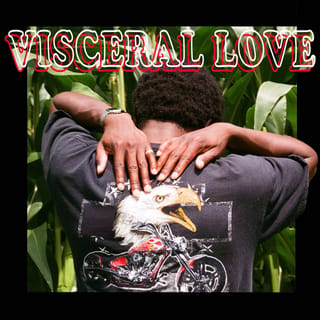 Visceral Love - Single