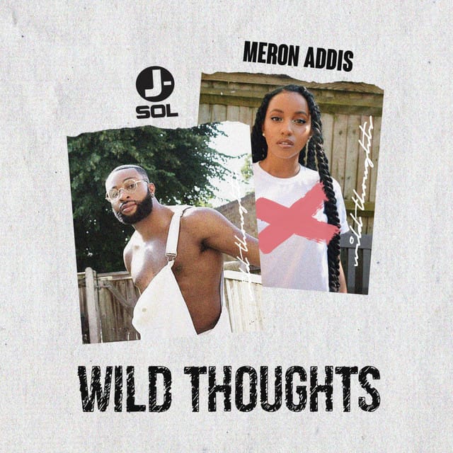 Wild Thoughts (Refix)