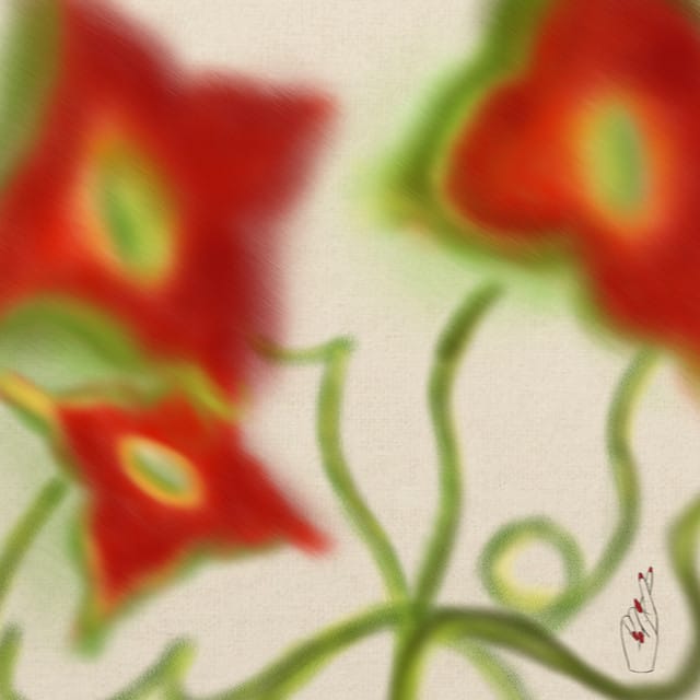 Layers (live acoustic)