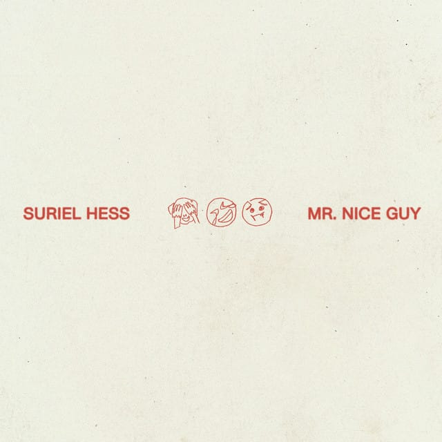 Mr. Nice Guy