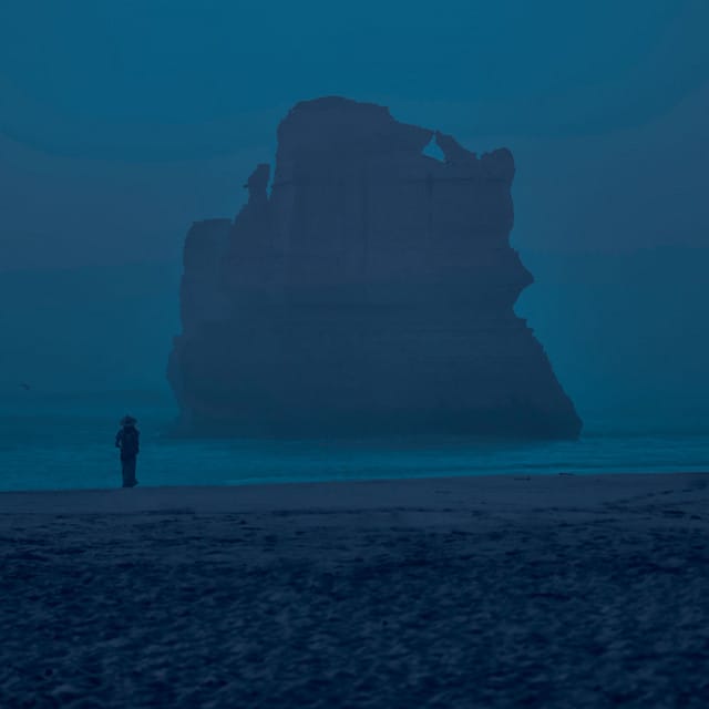 does the silence hold the truth? - Single
