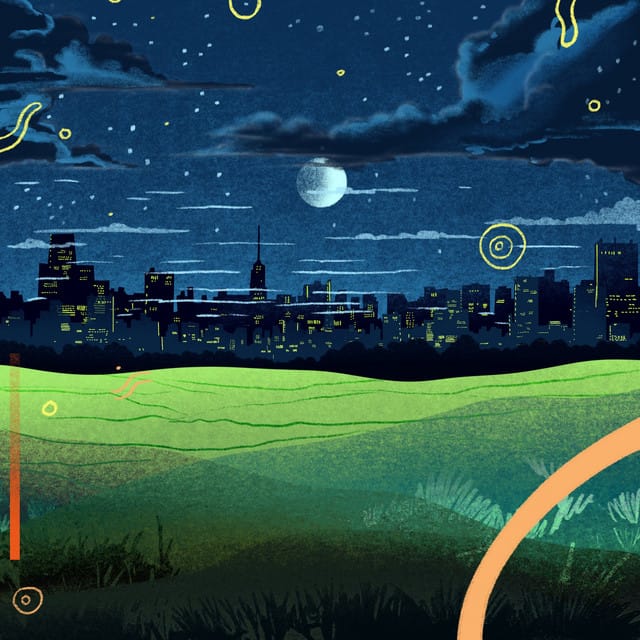 City Lights