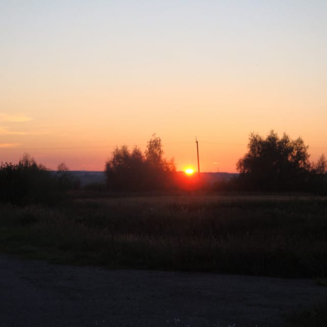 Forgotten earlier summer morning - Single