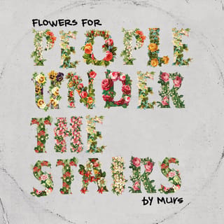 Flowers for People Under the Stairs