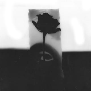 Unwind - Single