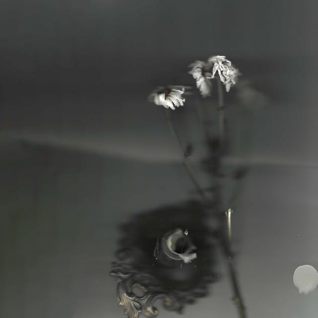 intertwine 1 - EP