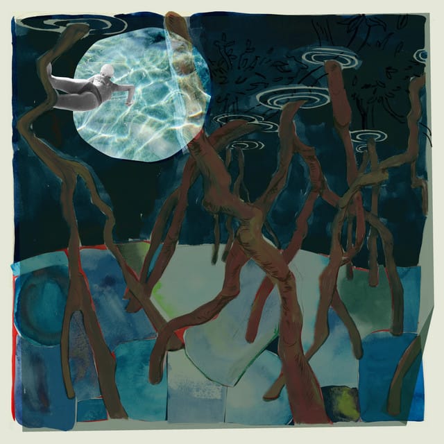 Swim Between Trees (Reimagined)