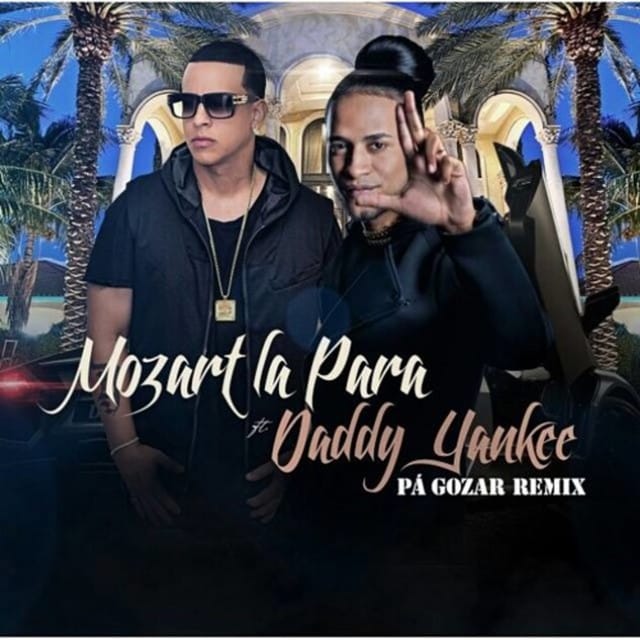 Pa Gozar (Remix)