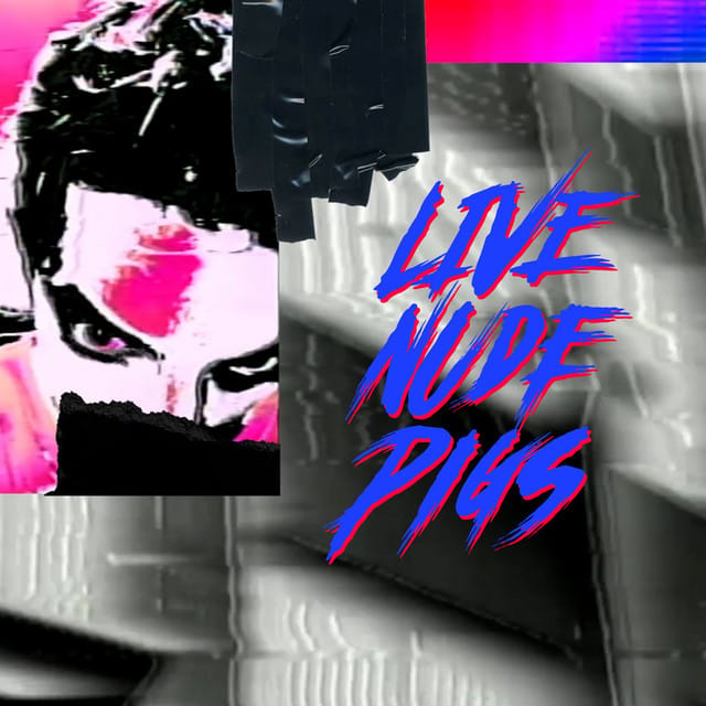 Live Nude Pigs