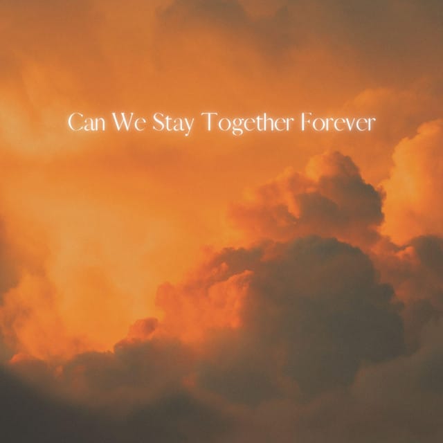 Can We Stay Together Forever - Single