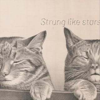 Strung Like Stars