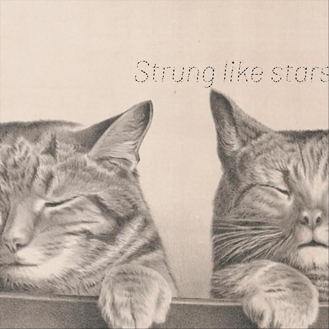 Strung Like Stars