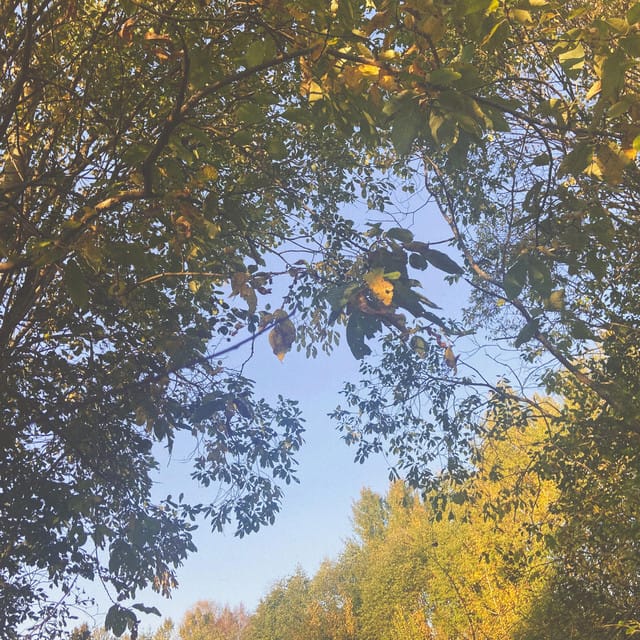 to be alive