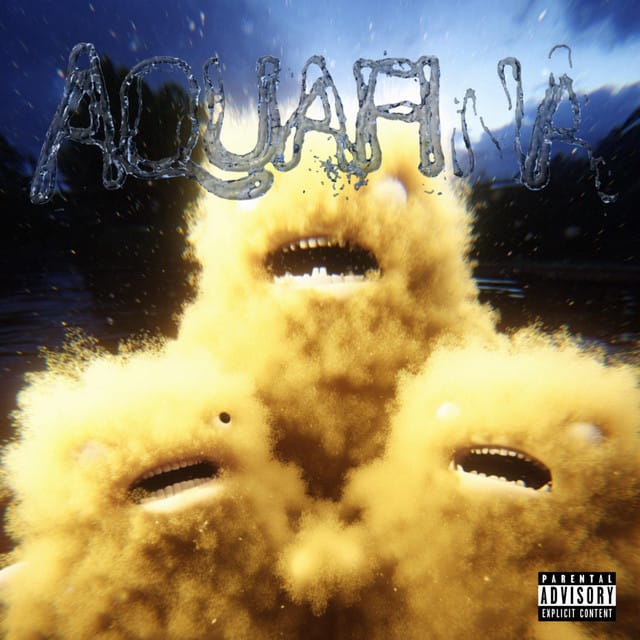 AQUAFINA - Single
