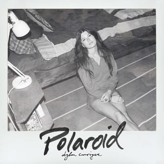Polaroid