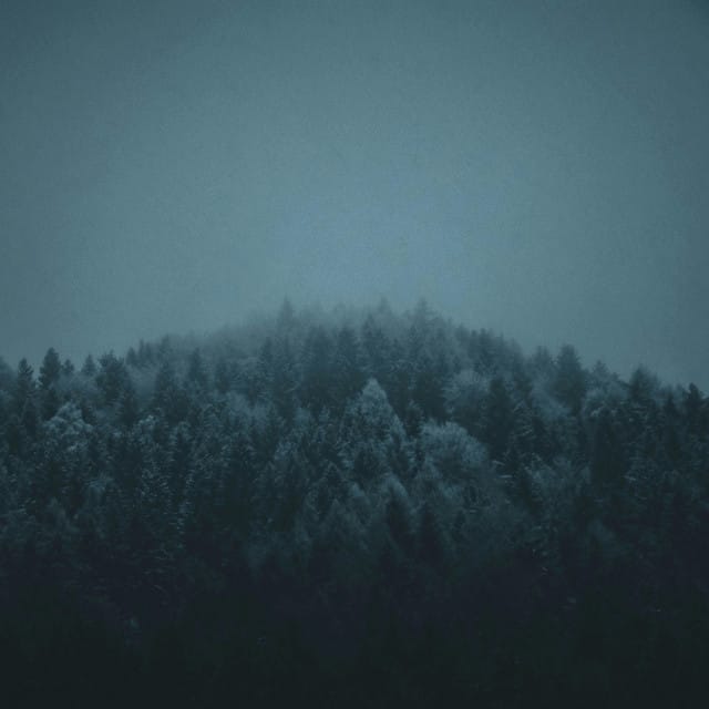 An Acoustic Christmas, Vol. 1