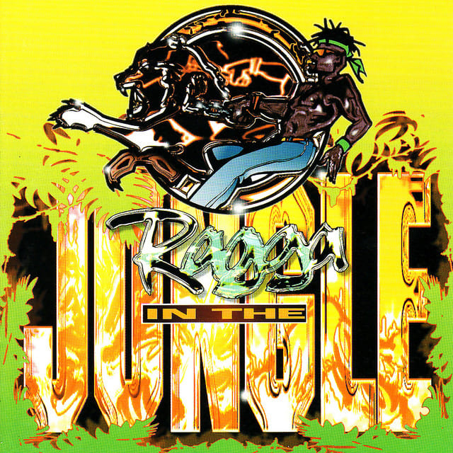 Ragga In The Jungle