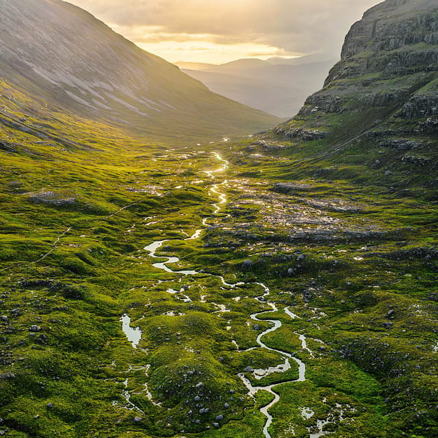 Tributaries