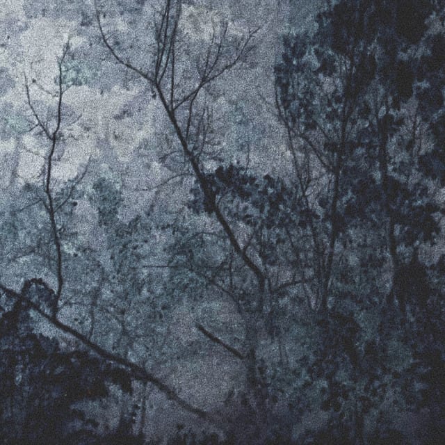 DEAD OR ALIVE? - Single