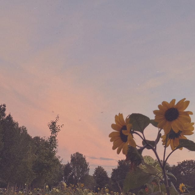 all the days behind me - Single