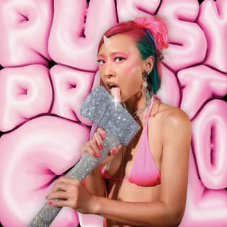 PUSSY PROTOCOL