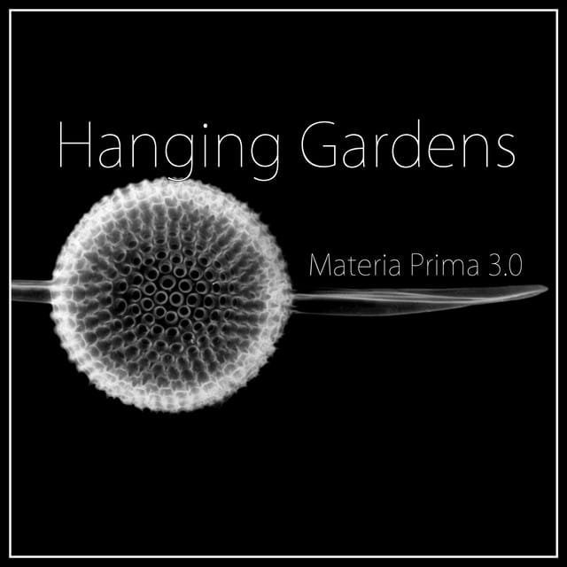 Materia prima 3.0