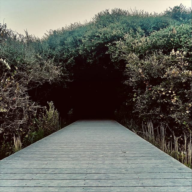 Blink Twice - Single