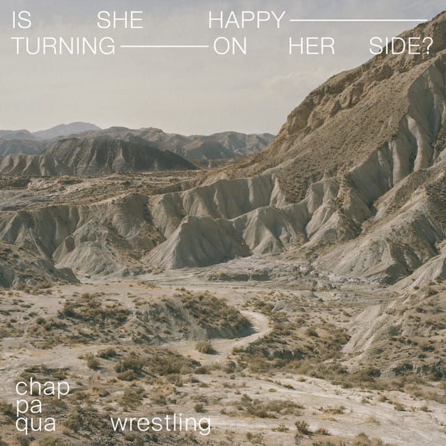 Is She Happy Turning on Her Side? - Single