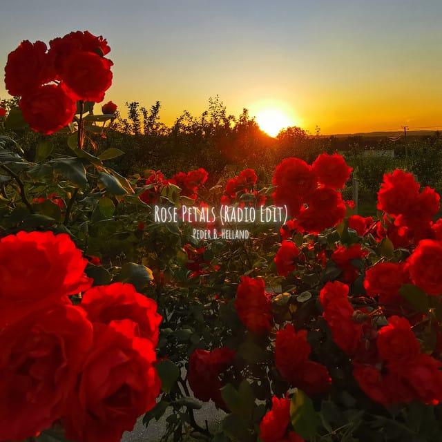 Rose Petals (Radio Edit) - Single